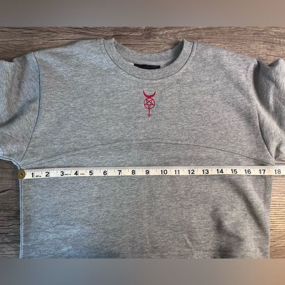 Black Scale Gray Cropped Sweatshirt with Red Detail XS - Picture 4 of 7